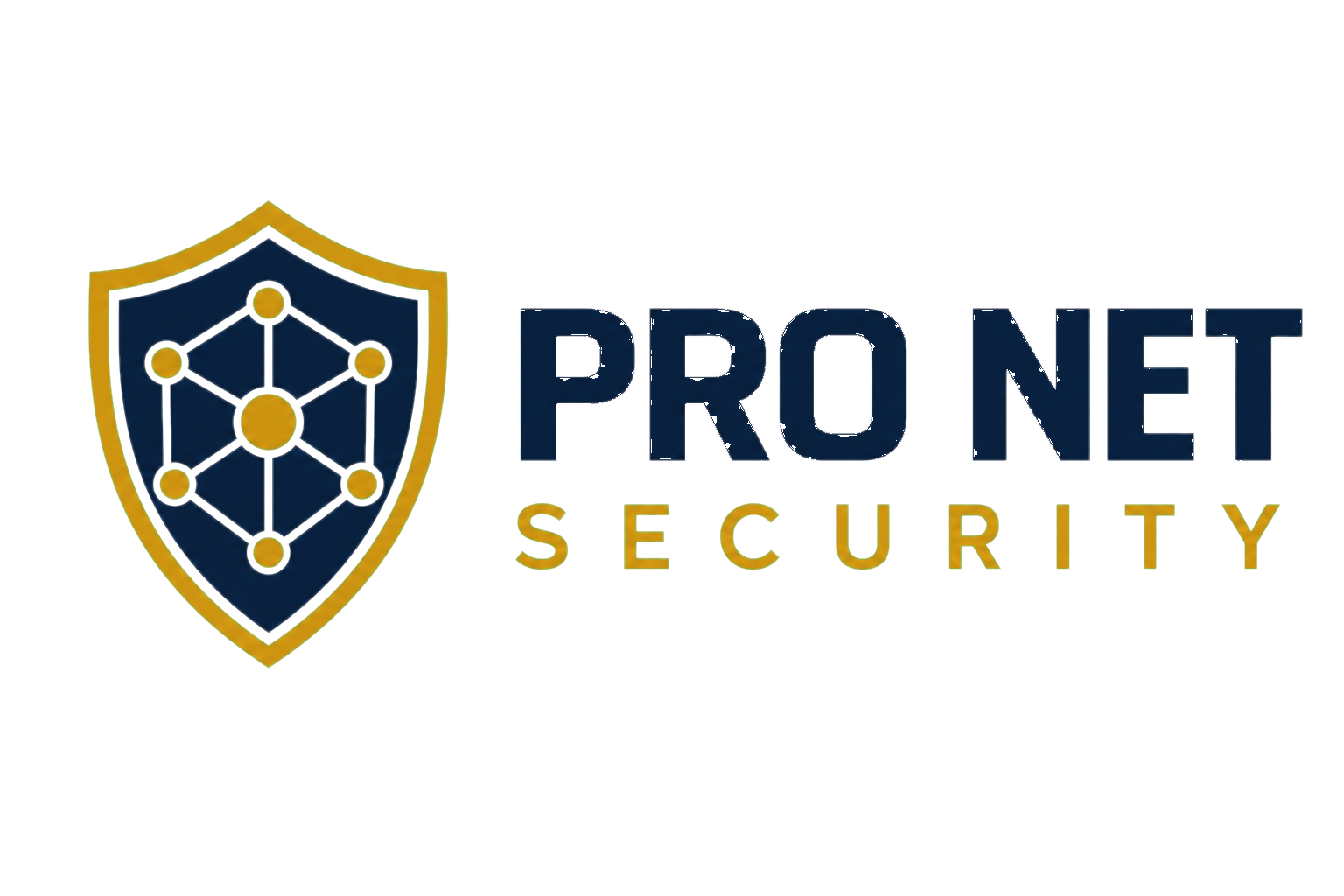 Pro Net Security logo