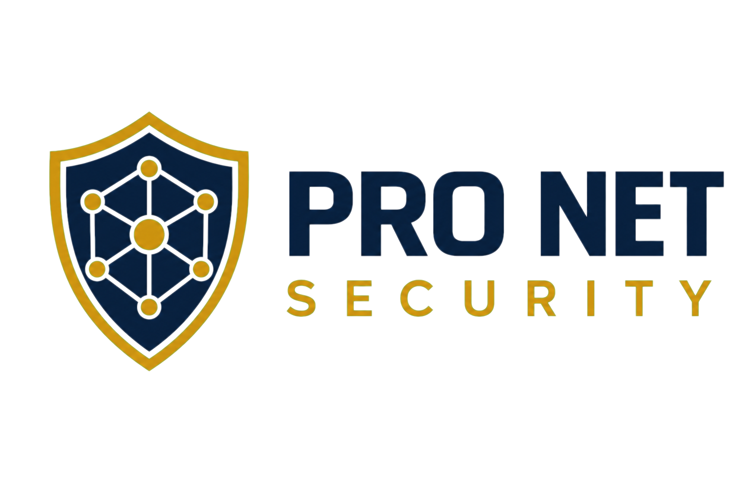 Pro Net Security logo